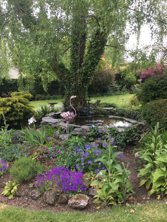 Cookshayes Country Guest House Moretonhampstead Esterno foto